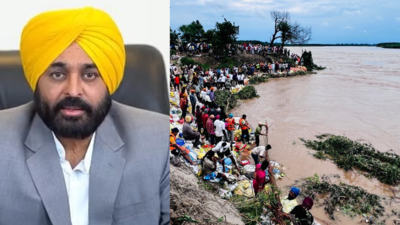  'CM Bhagwant Mann recovering, to hit ground in a day or 2'; cabinet meets amid statewide crisis