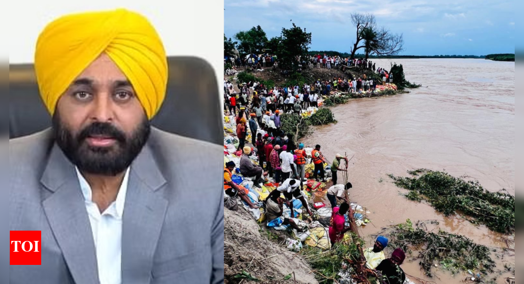 Punjab floods: 'CM Bhagwant Mann recovering, to hit ground in a day or 2'; cabinet meets amid statewide crisis