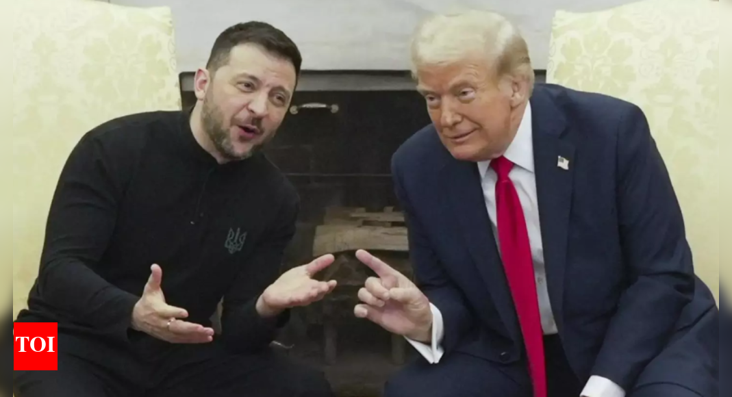 'Losses must be felt': Zelenskyy backs Trump tariffs on nations supporting Russia; message for India?