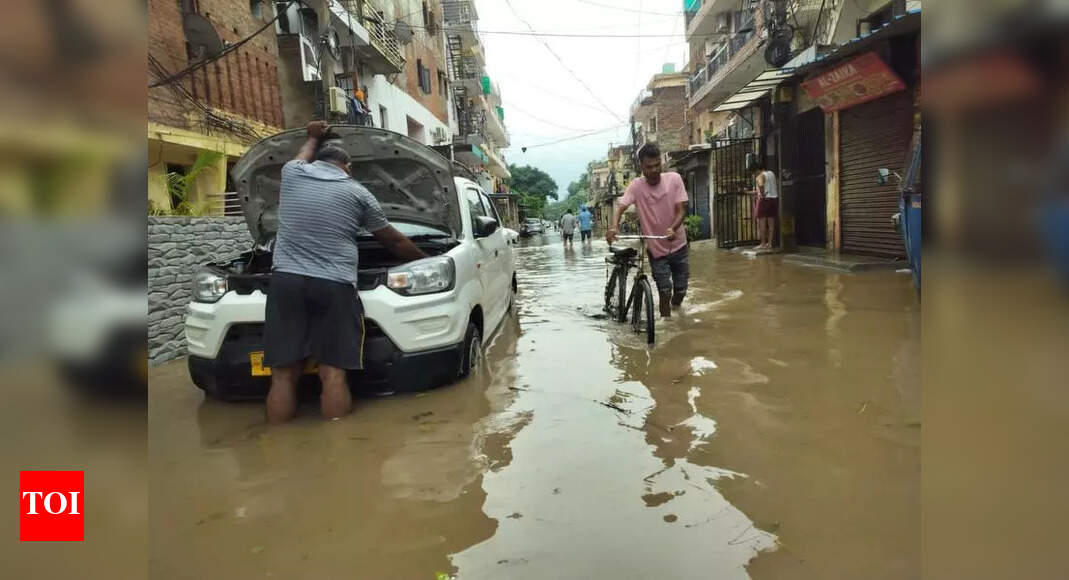 Mohali district suffered Rs 63cr loss in floods, Jayanti Majri worst hit