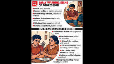 Smiling children, simmering rage: Schools face new challenge