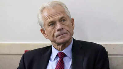 'Should X present this as comments?' Peter Navarro runs poll; claims 'Indian special interests trying to interfere'