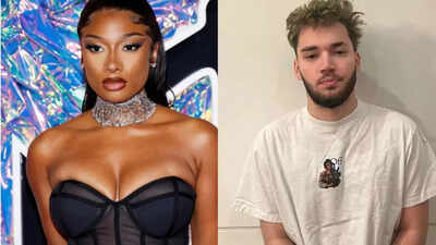 Why did Megan Thee Stallion file a lawsuit against streamer Adin Ross?
