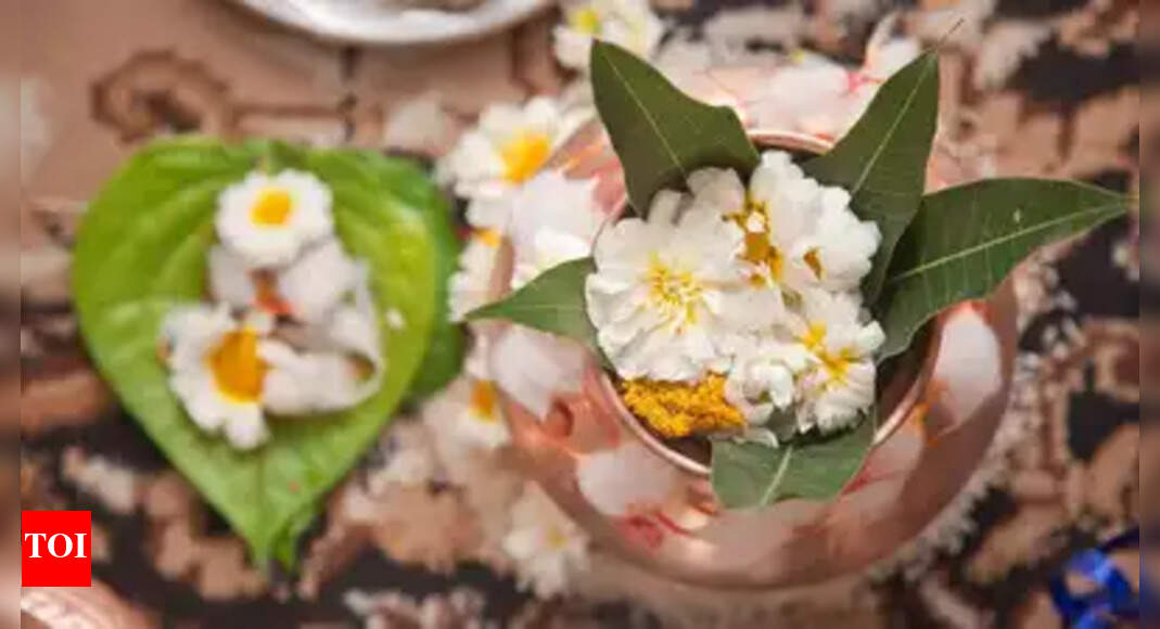 Pitru Paksha 2025: Do's and Don'ts to follow during Shradha Paksha