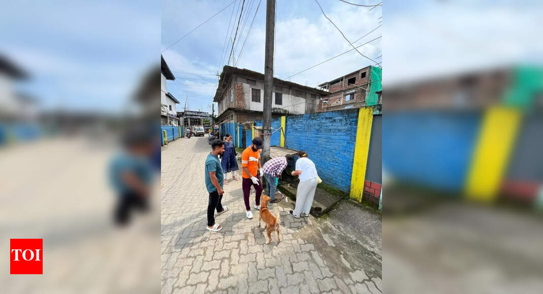 City-wide anti-rabies drive continues in Dibrugarh, over 400 street ...