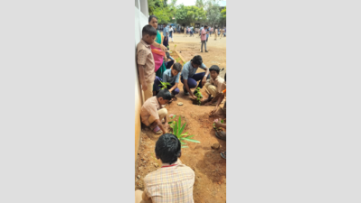 Chennai Students Lead Statewide Tree Plantation Drive, Planting Over 338,000 Saplings