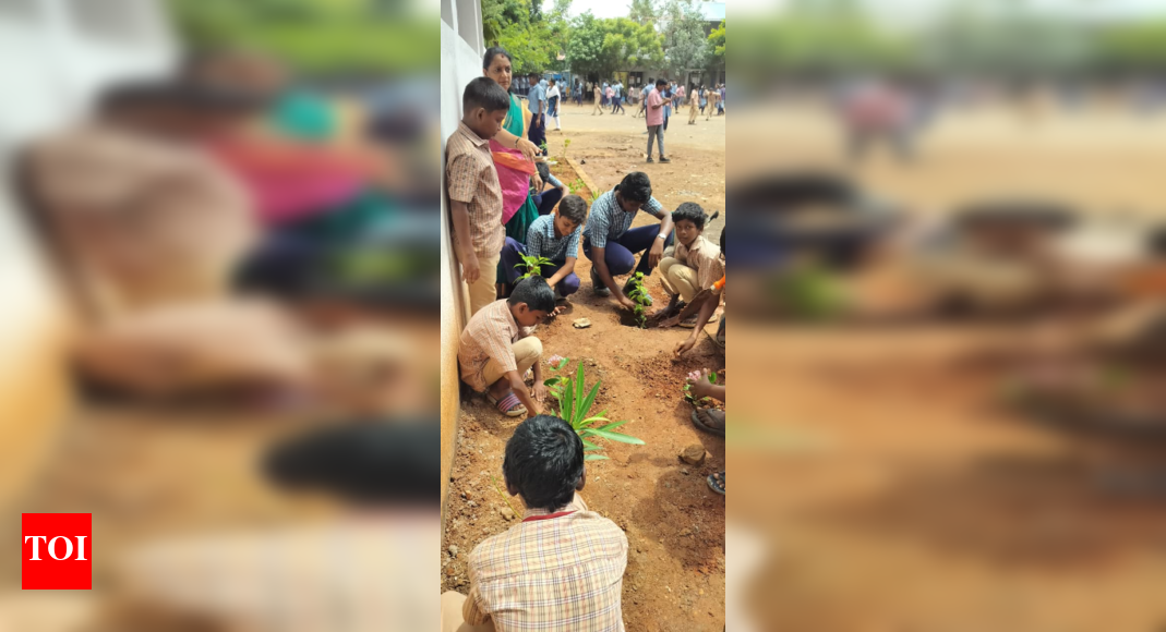 Chennai Students Lead Statewide Tree Plantation Drive, Planting Over 338,000 Saplings
