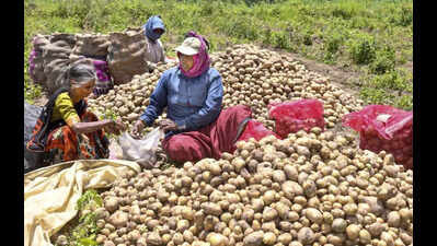 Over Rs 550-crore crops lost due to rain; 111 people died since April