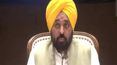 Punjab CM Bhagwant Mann announces flood relief; aid for farmers, families of victims
