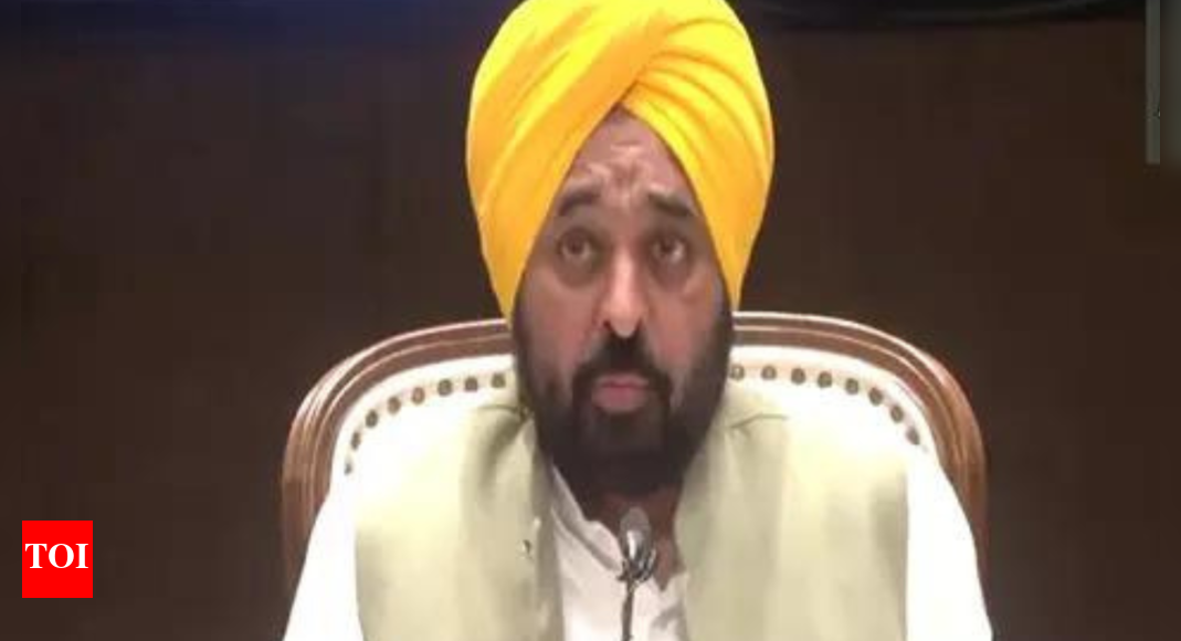 Punjab CM Bhagwant Mann announces flood relief; aid for farmers, families of victims Punjab CM Bhagwant Mann announces flood relief; aid for farmers, families of victims
