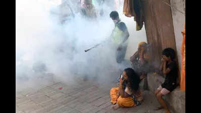 Floodwater recedes, MCD ups efforts to fight off mosquitoes