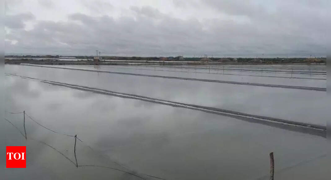 Rain hits farming, fishing and salt production in delta districts ...