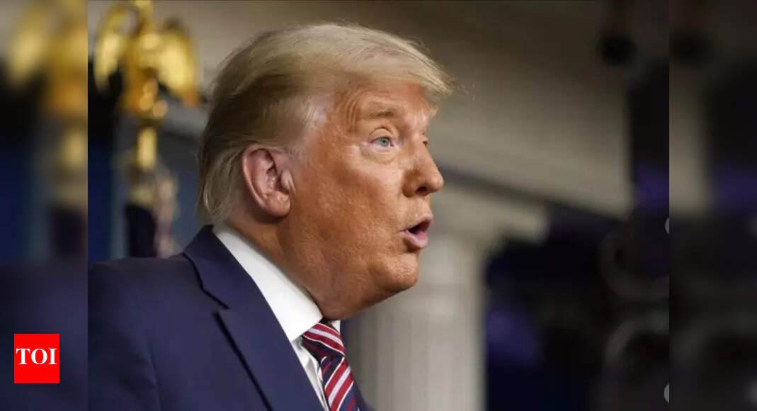 ‘A little fight with wife’: What Trump said on domestic violence; why it sparked backlash