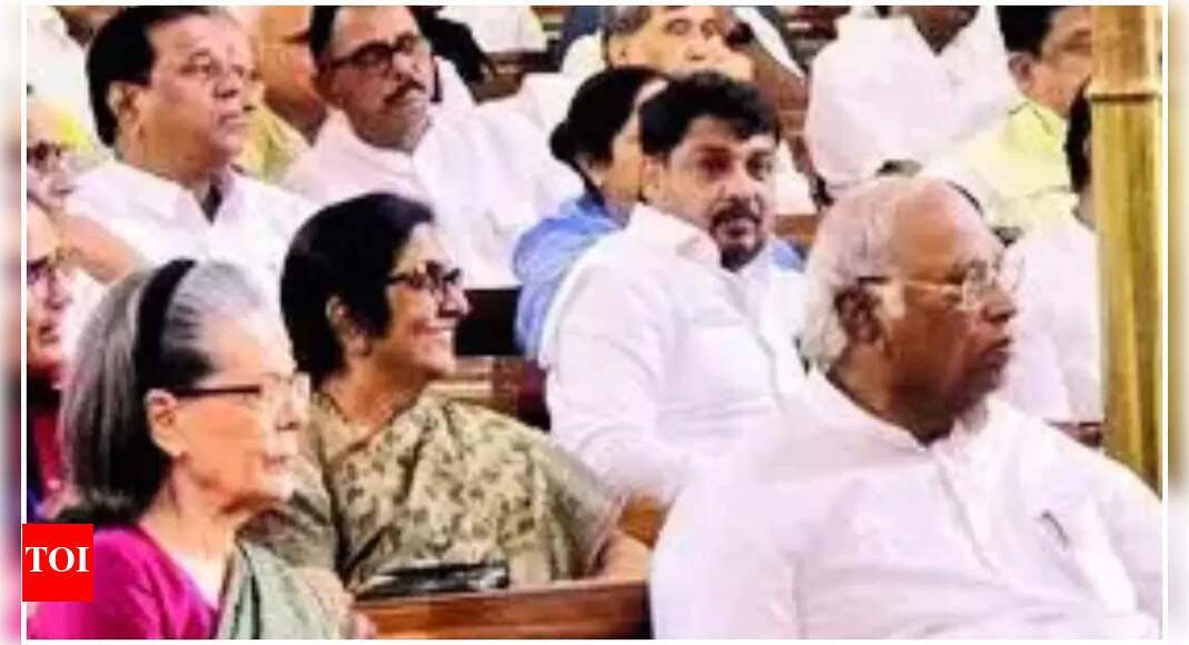In show of unity, Opposition MPs take part in mock voting for VP election