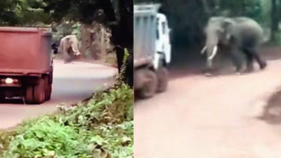 Truckers leave vehicles, run for life in Chhattisgarh’s Balod