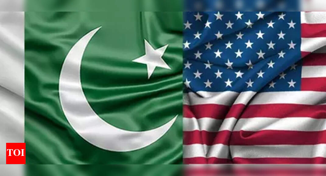 Critical mineral deal: US firm signs $500 mn deal with Pakistan; eyes gold, antimony, rare earth and more