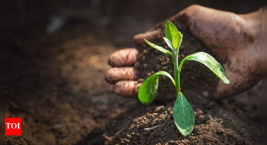 9 kitchen scraps you should add to your garden for happier plants