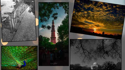 When light meets the lens: A curated exploration of life in frames