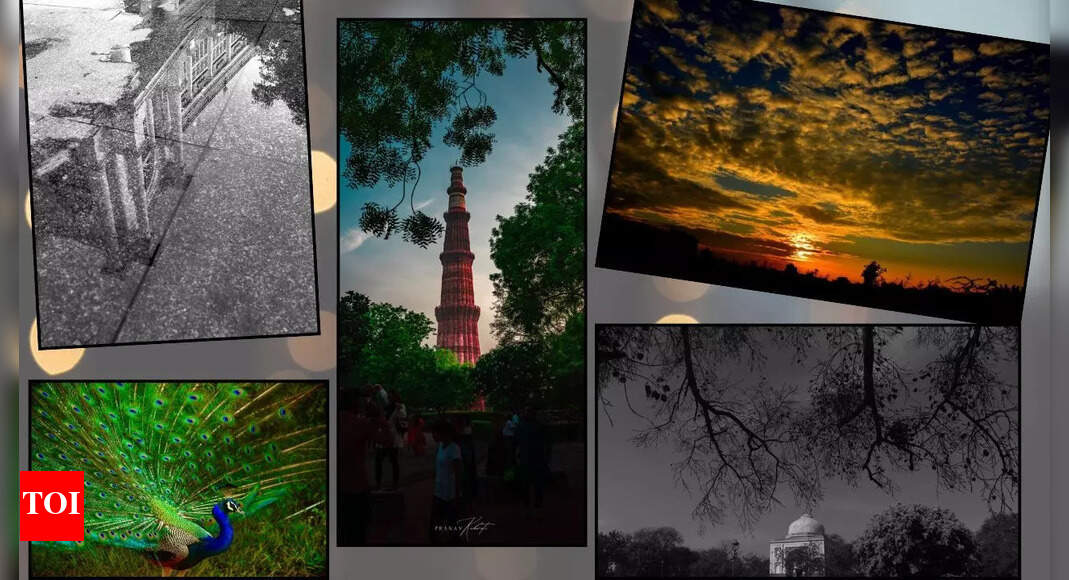 When light meets the lens: A curated exploration of life in frames