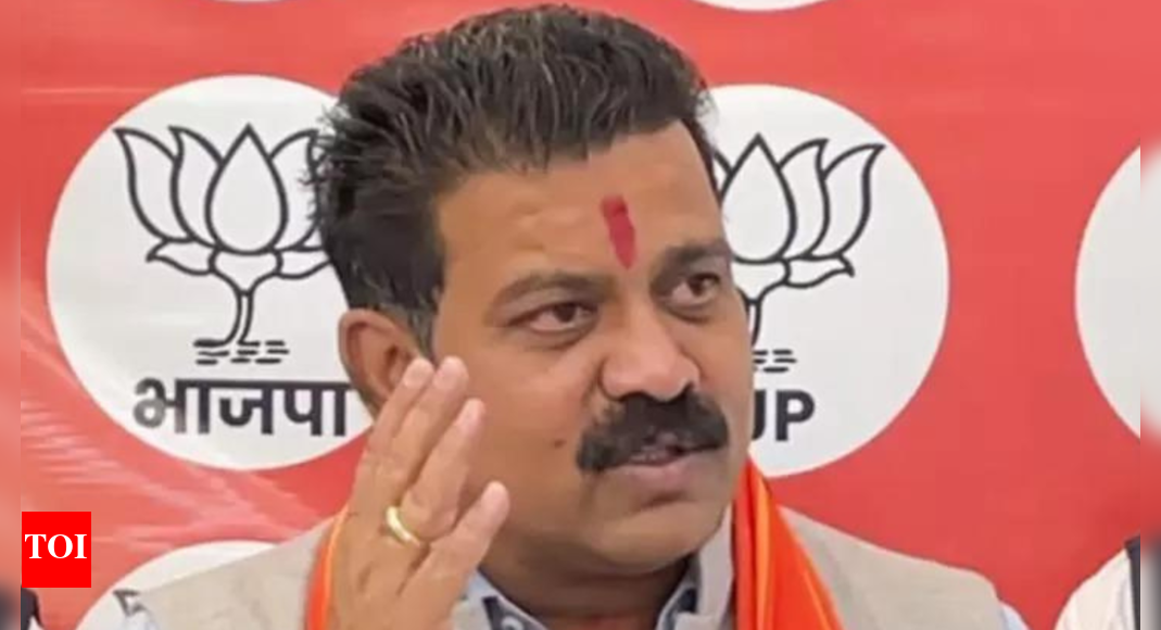 Chhattisgarh deputy CM Vijay Sharma hits back at Congress over ‘vote theft’ allegations, cites bogus entries in voter list