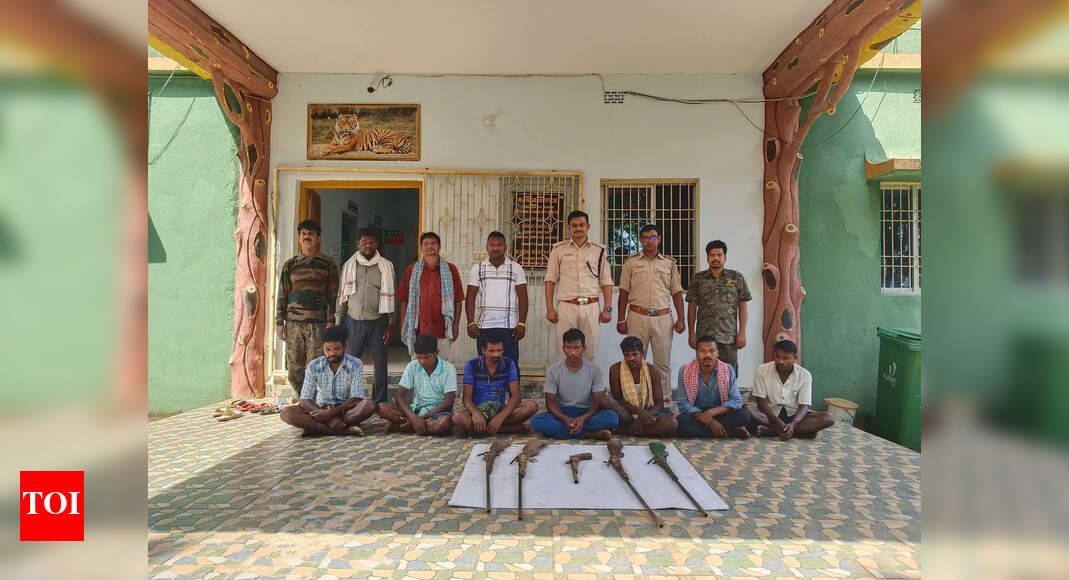 Similipal Tiger Reserve: Over 100 poachers this year amid anti-poaching efforts