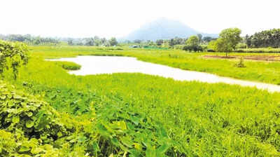 139 lakes still encroached in Kushalnagar despite court order