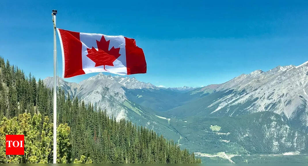 Canada rejects 80% of Indian student visas in 2025, Germany rises as top destination