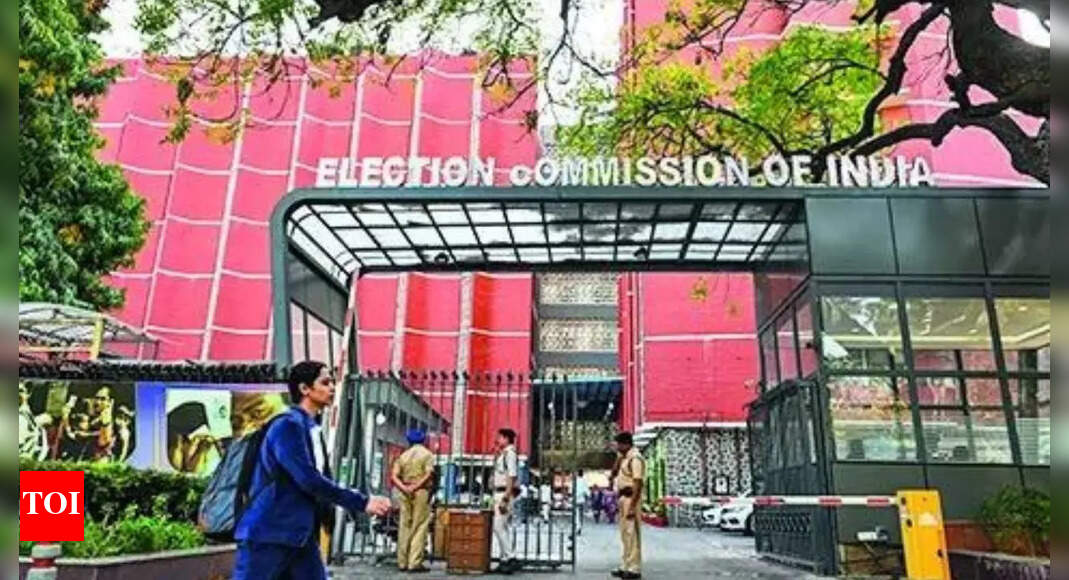 EC to vet founders of unrecognised parties during registration