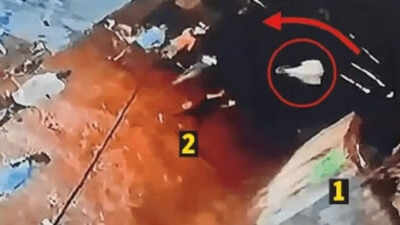 INSAS rifle stolen from Mumbai's Navy Nagar sentry: Navy seaman, brother arrested; cops probe possible Naxal links
