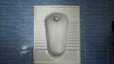 Squatting vs. sitting toilets in India and their impact on gut health, backed by science