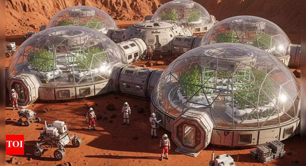 Is there life on Mars? NASA to reveal major evidence from groundbreaking Mars findings | – The Times of India