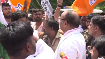 'Rahul go back': UP minister sits on dharna on highway; demands apology over insult to PM's mother