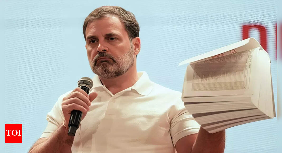 <div>'Completely misconceived': Madras HC dismisses plea on Rahul Gandhi's 'vote chori' charge; imposes Rs 1 lakh fine on petitioner</div>