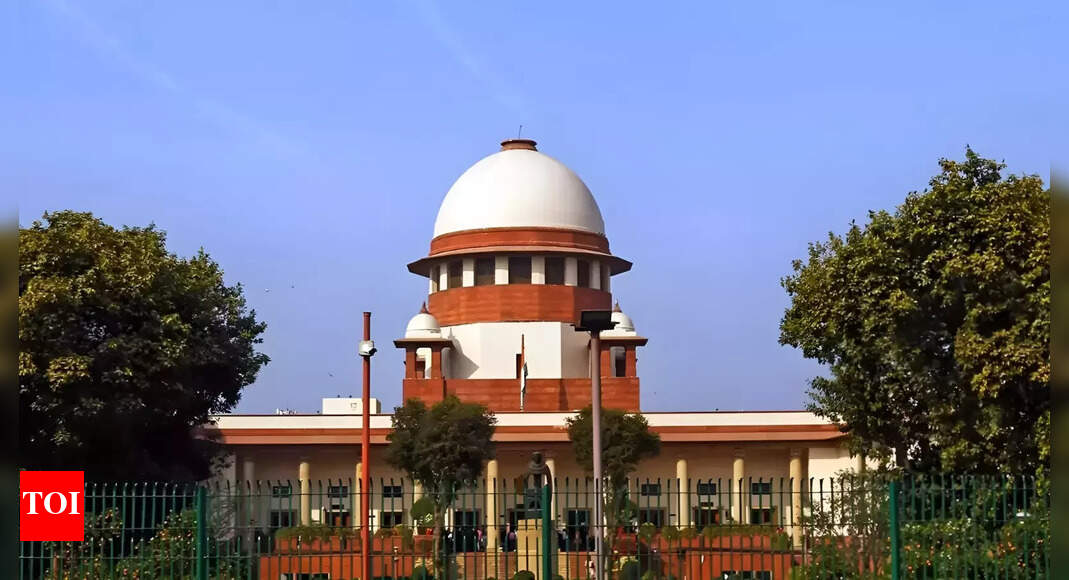 <div>'Proud of our Constitution': Supreme Court cites Nepal, Bangladesh turmoil; what prompted observation?</div>