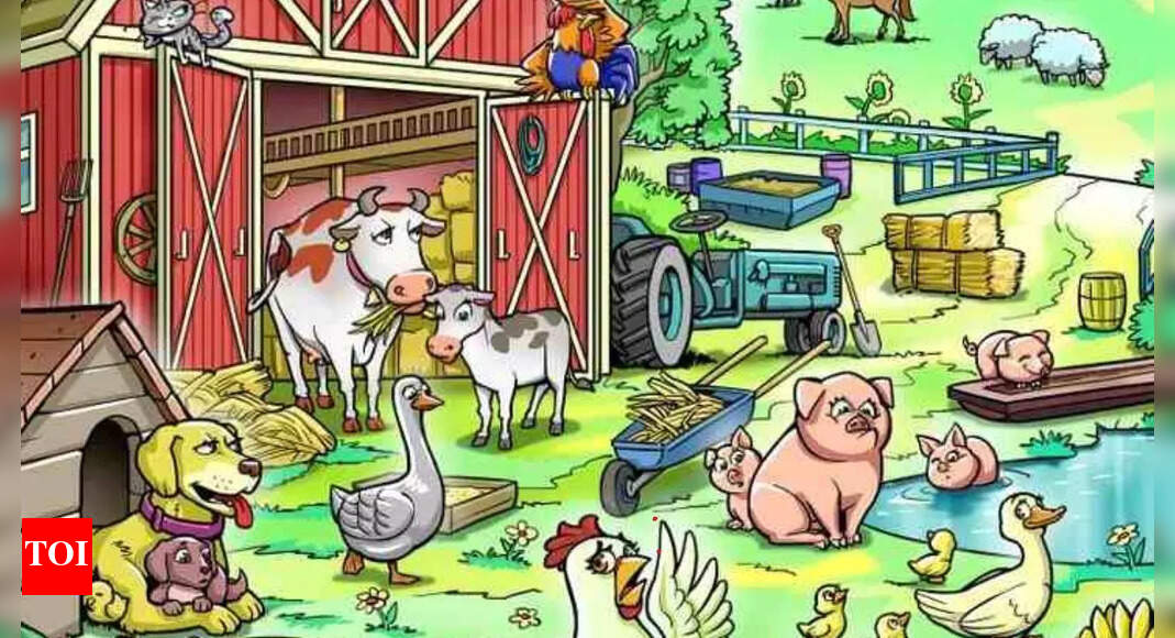 Optical Illusion: Can you spot the sneaky hen's chick before time runs out?