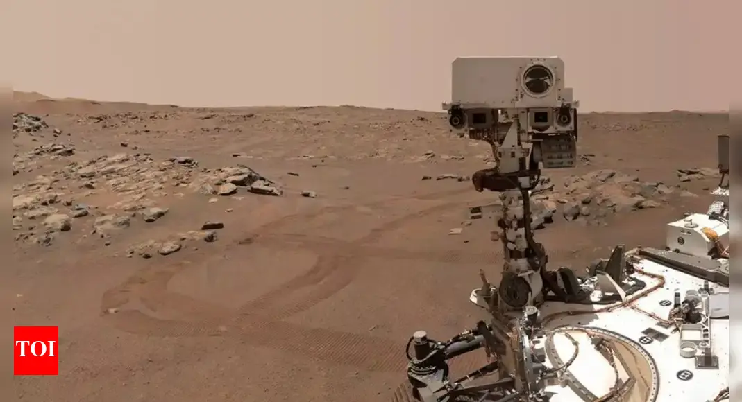 NASA Perseverance rover discovers turtle-shaped rock on Mars highlighting strange Martian landscapes