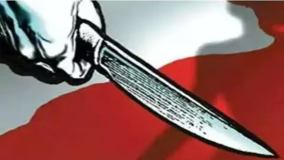 Knife attacker wounds teacher, student in southern France