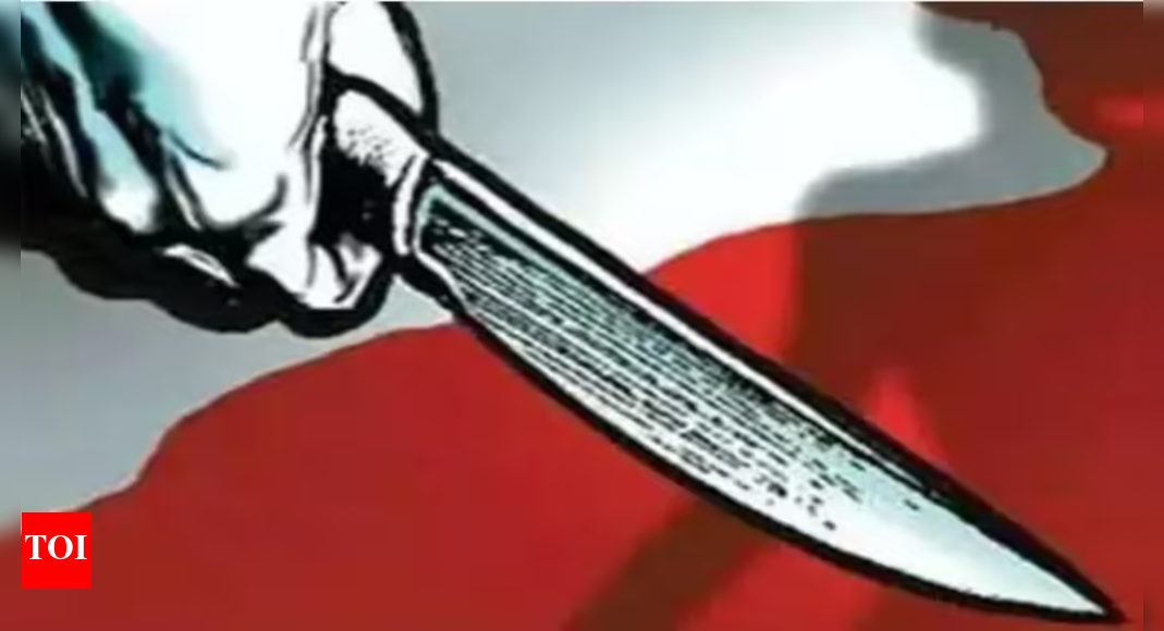 Knife attacker wounds teacher, student in southern France