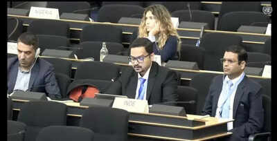 ‘Dump Truck Of Lies’: Indian Diplomat Obliterates Pakistan At UN After IWT, Terror Accusations