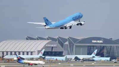 Incursión de inmigración en Estados Unidos: Seúl envía avión; cientos de coreanos regresan