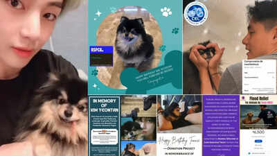  Fans honor the late beloved pomeranian with charity work