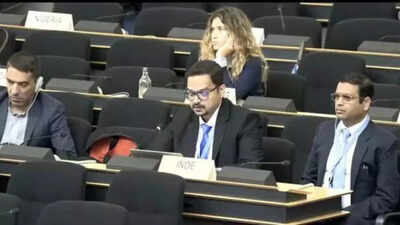 'Blatantly False, Ill-Informed': India Tears Into Switzerland at UNHRC Meet Over 'Minorities' Remark