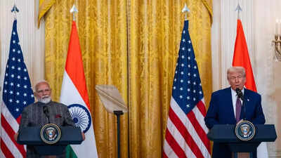 PM Modi's business-like response to Trump's posts indicates India will stick to red lines
