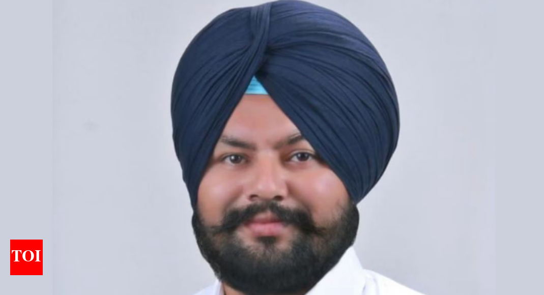 Punjab: AAP MLA Manjinder Singh Lalpura & 6 cops among 11 found guilty of molestation; 8 arrested