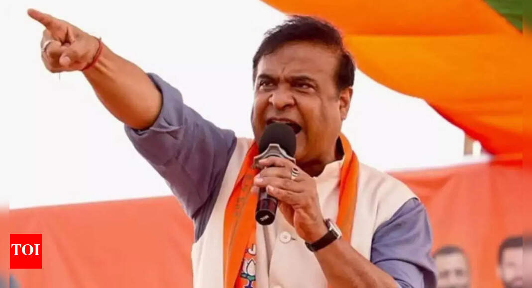 ‘British national involved’: Assam CM Himanta Biswa Sarma cites SIT, links Gaurav Gogoi to anti-India plot