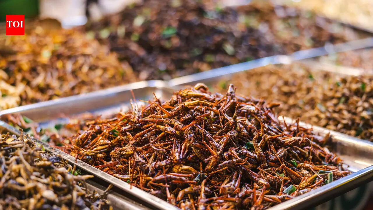 Top 7 must-try insect dishes from around the world