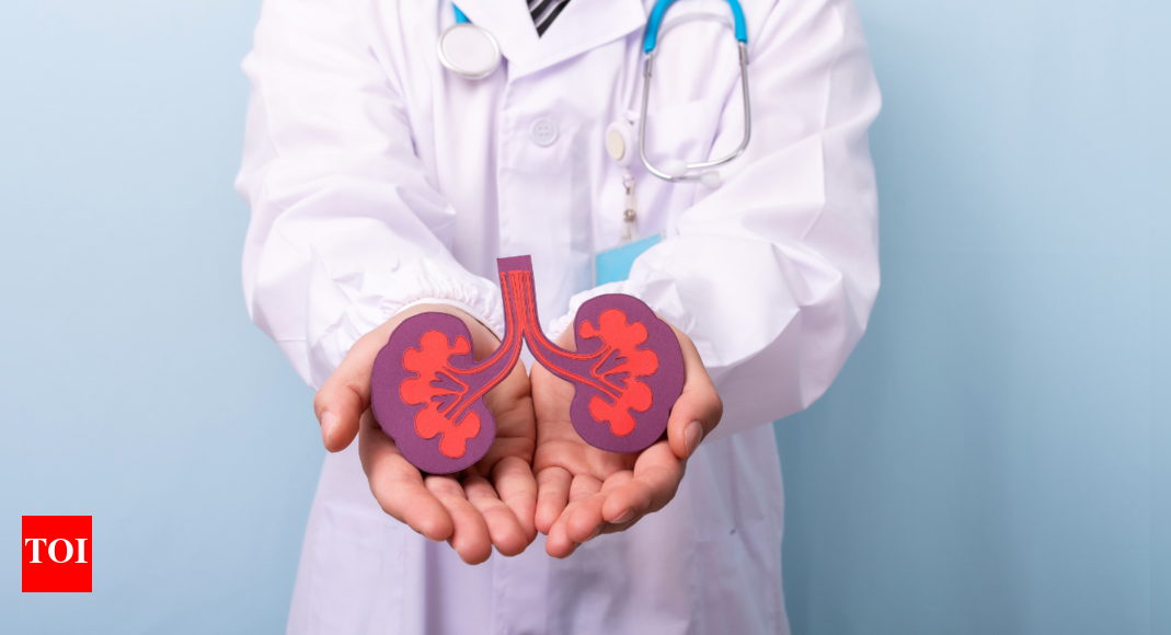 Kidney Health: THIS simple herb could replace expensive kidney cleansers for good