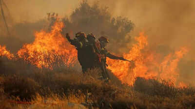 Scientists warn! Climate change could kill millions in Europe by 2099
