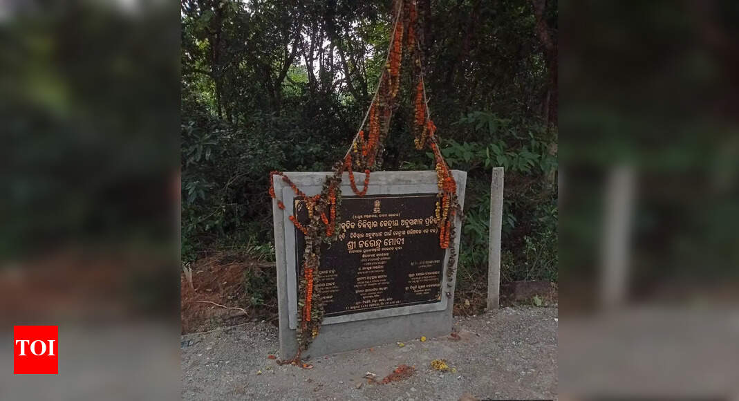 No permission was given for felling of trees for central project, Khurda DFO tells NGT