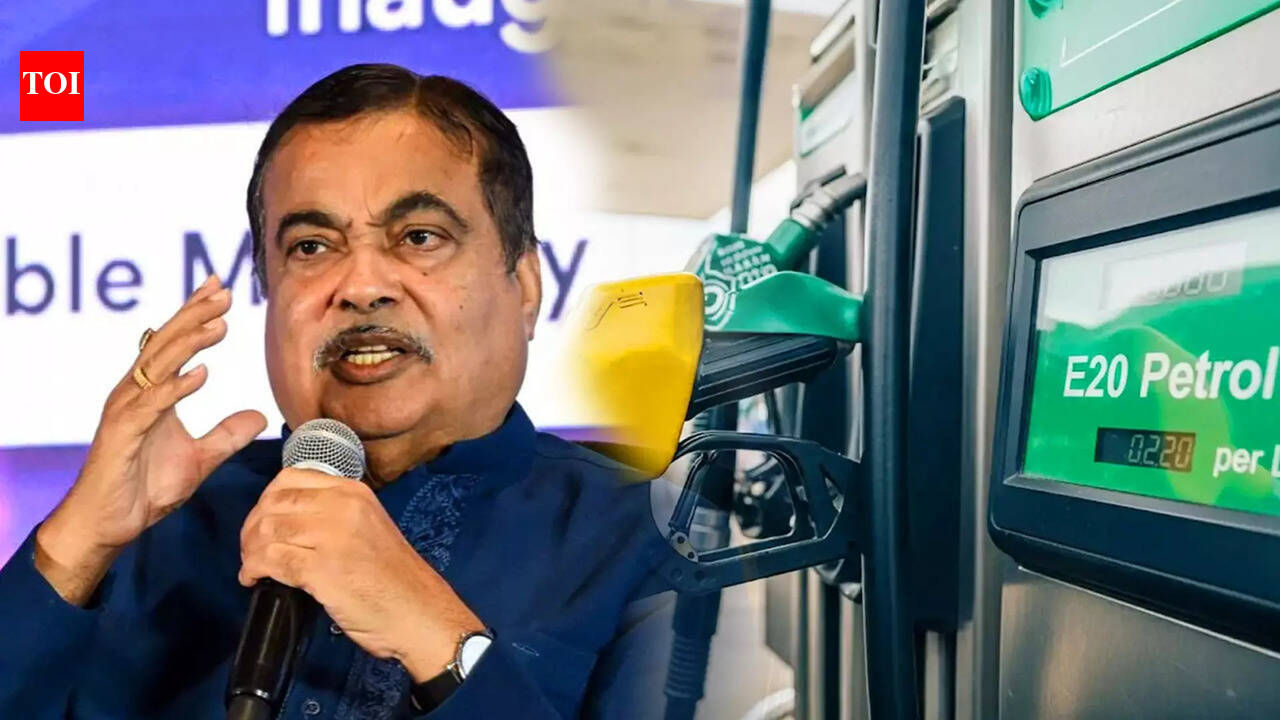 'Paid Campaign': Nitin Gadkari Slams Criticism Of E20 Program; Calls It ...